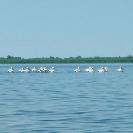 Gorgova Delta Village Exteriör bild