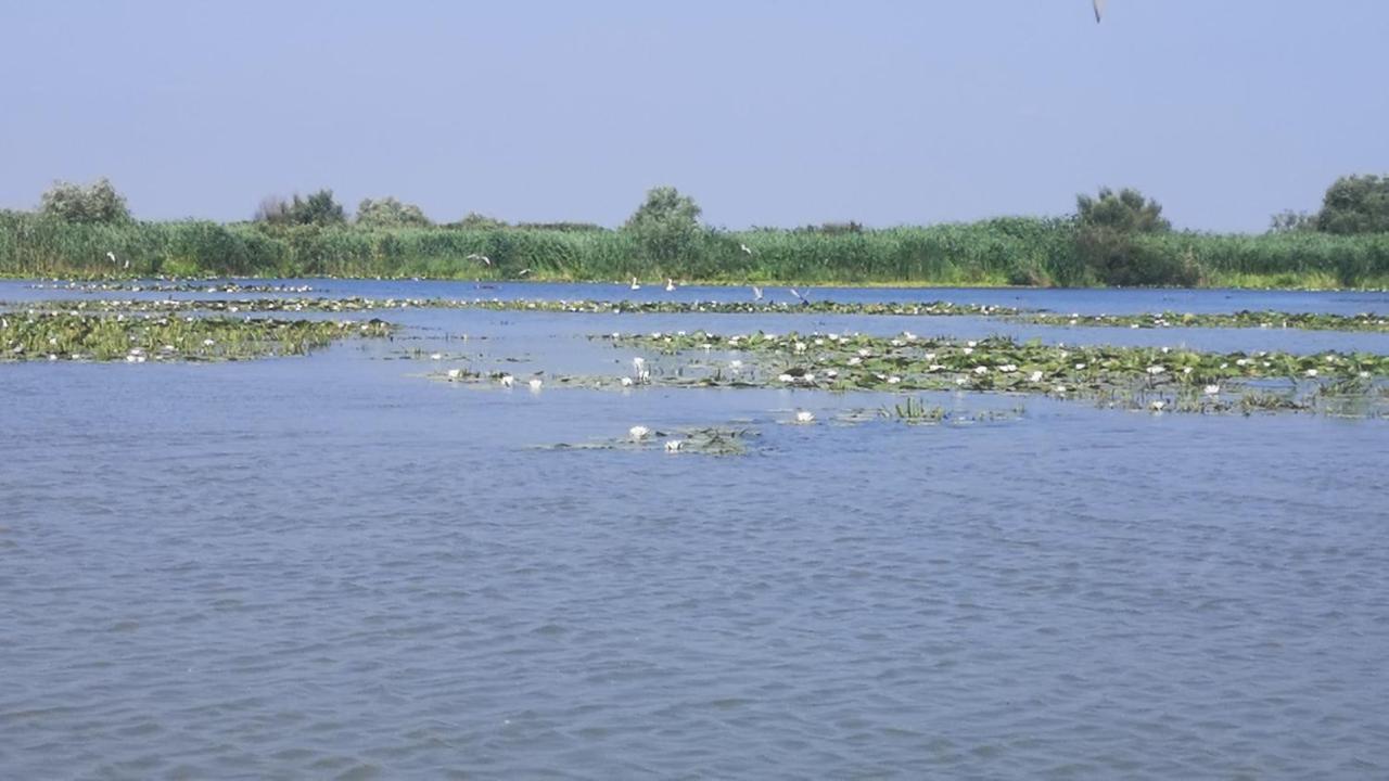 Gorgova Delta Village Exteriör bild